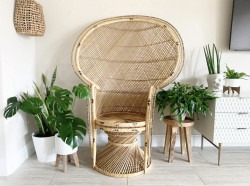 Peacock Ratten chair