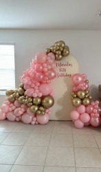 Balloon20backdrop 1728428249 Balloon garlands with Back drops